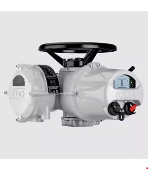اکچویتور روتورک Rotork IQ12F10A 24rpm (استوک)